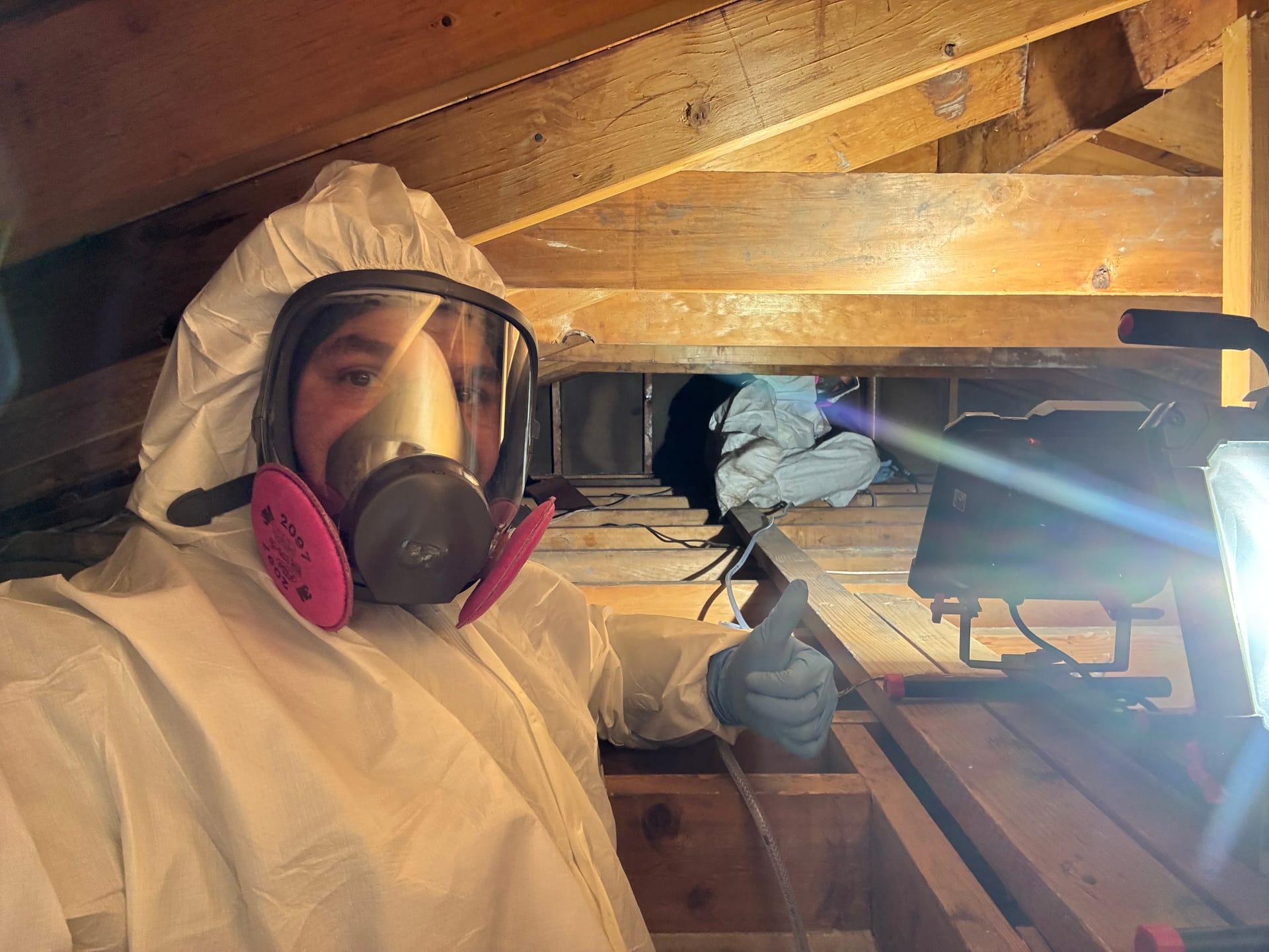 Mold Remediation